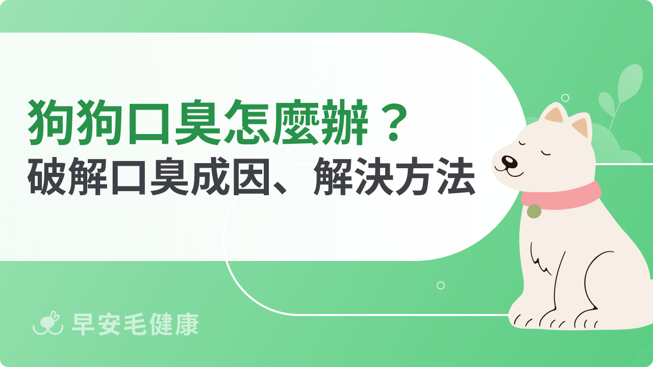 狗狗口臭怎麼辦?搞懂口臭成因、解決方法,維持毛孩清新好口氣
