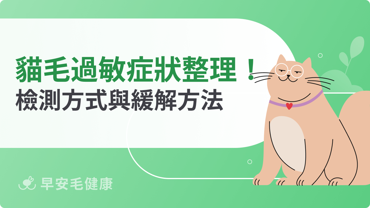 貓毛過敏症狀有哪些?常見反應、檢測方式與緩解方法一次看
