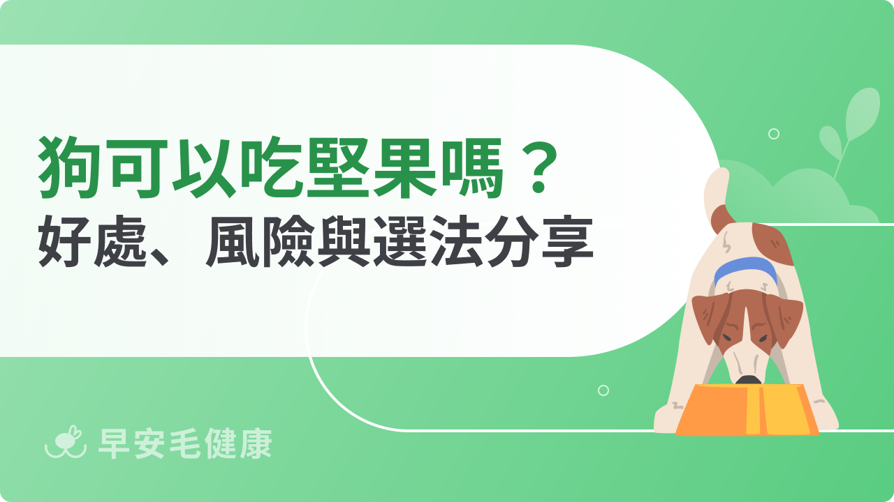 狗可以吃堅果嗎?可安全食用種類與危險種類分享