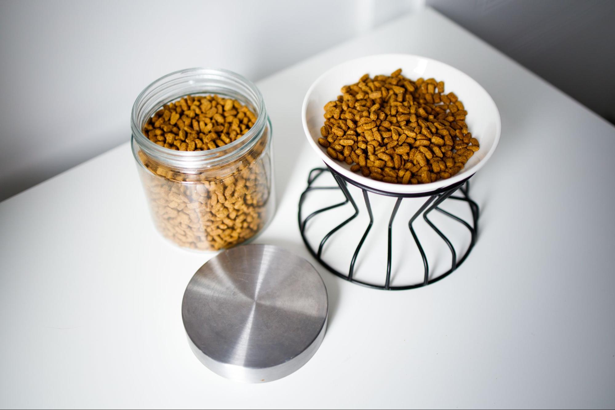 173. AI - cat-food-storage-tips-1