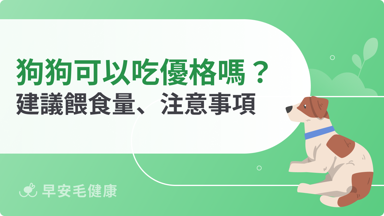 狗狗可以吃優格嗎?必看餵食建議與常見問題解答