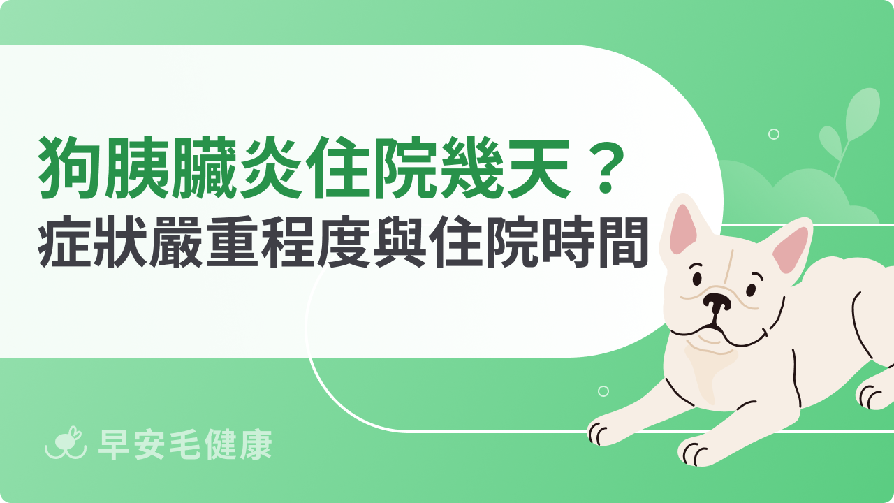 狗狗胰臟炎要住院幾天?症狀嚴重程度與住院時間關係解析