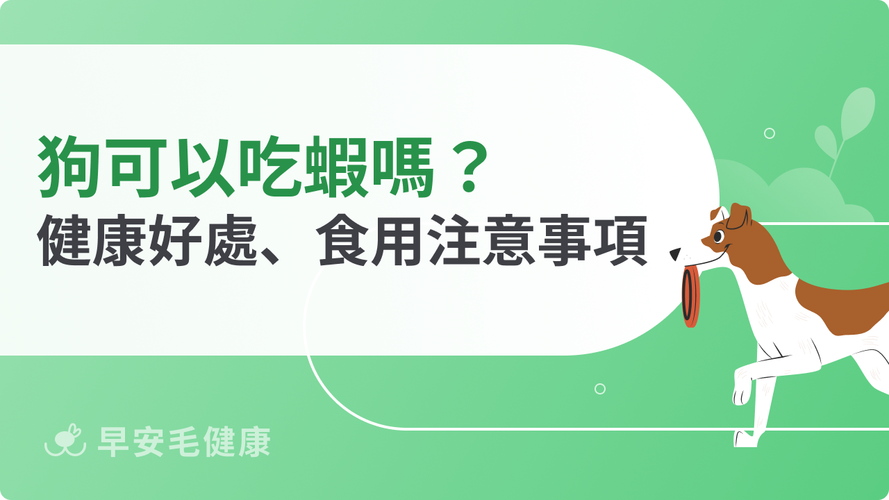 狗可以吃蝦嗎?認識海鮮對狗狗的營養價值、安全餵食法