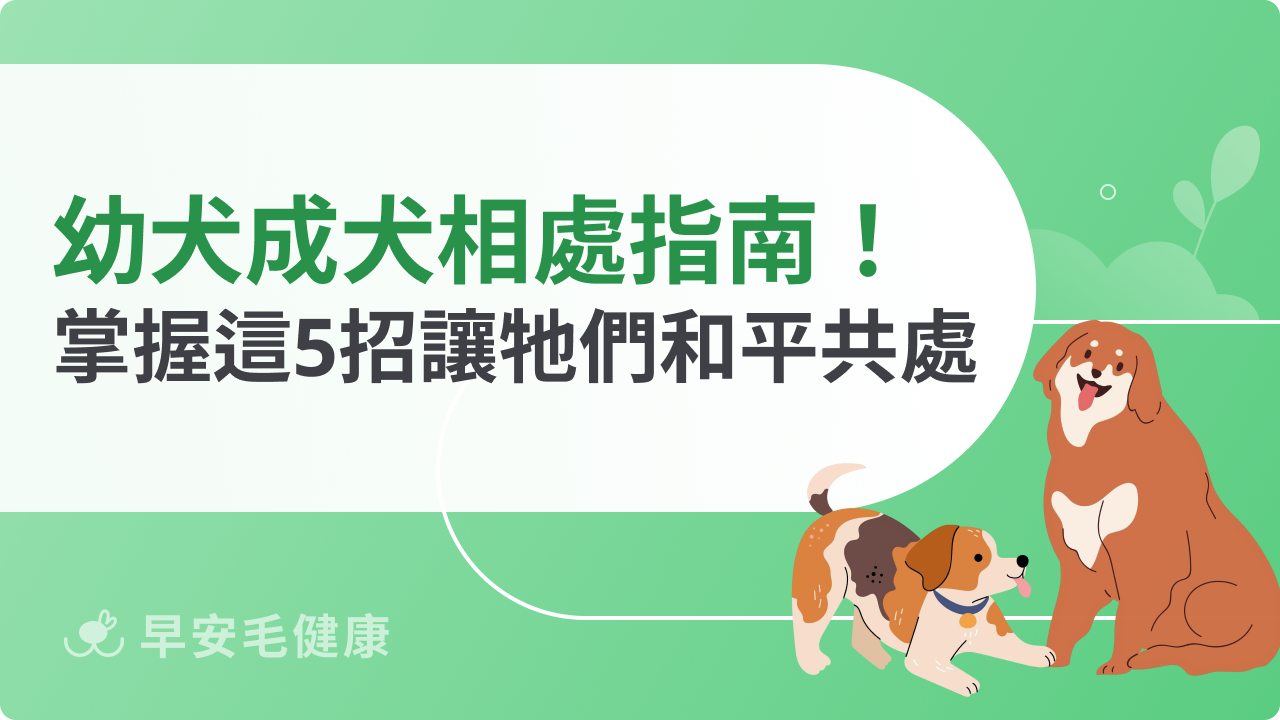 幼犬成犬相處指南:掌握這5招讓牠們和平共處