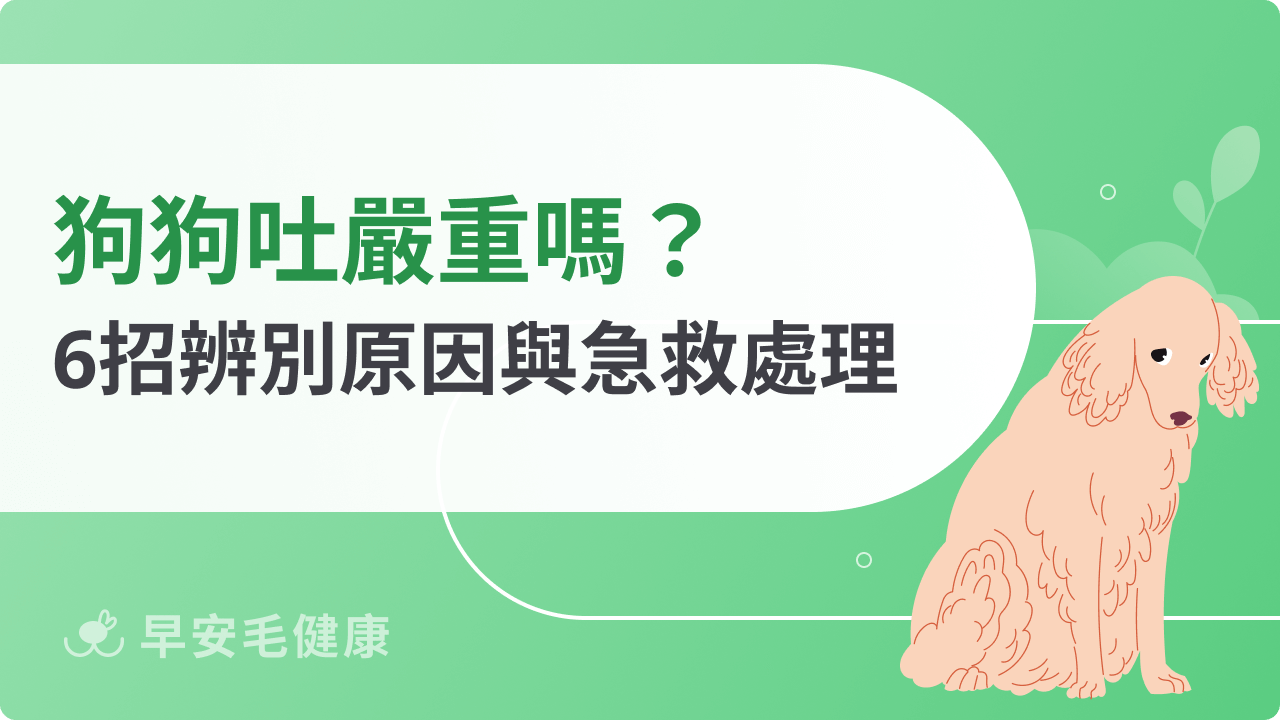 狗狗吐嚴重嗎?6招辨別原因與急救處理