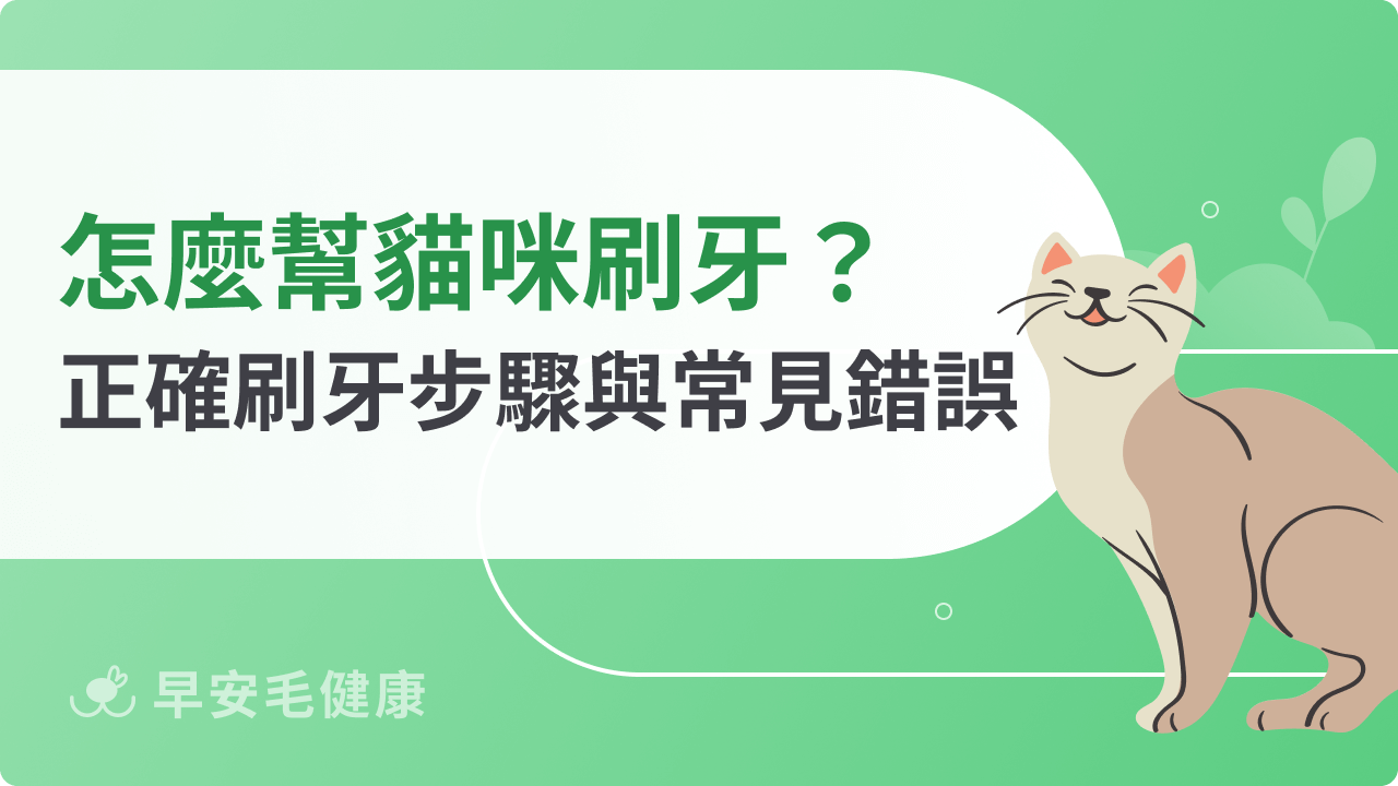 怎麼幫貓咪刷牙?正確刷牙步驟與常見錯誤教學
