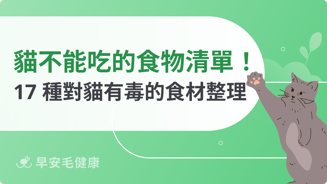 貓不能吃的食物清單!17 種對貓有毒的食材總整理