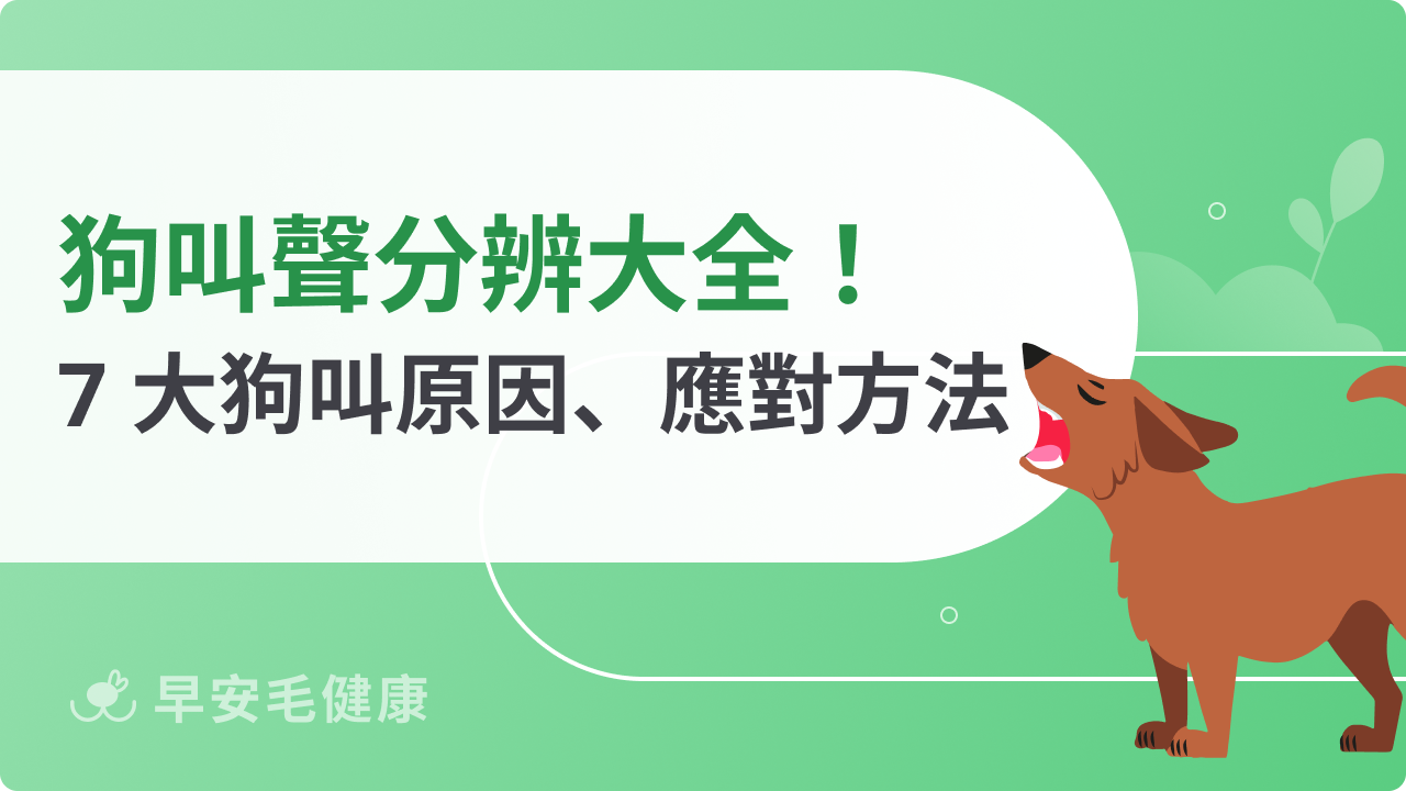 狗叫聲分辨大全!7 大狗叫聲原因、意思與應對方法