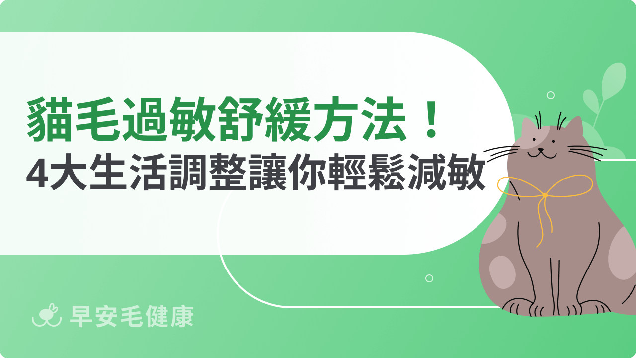 貓毛過敏舒緩怎麼做?4大生活調整讓你輕鬆減敏