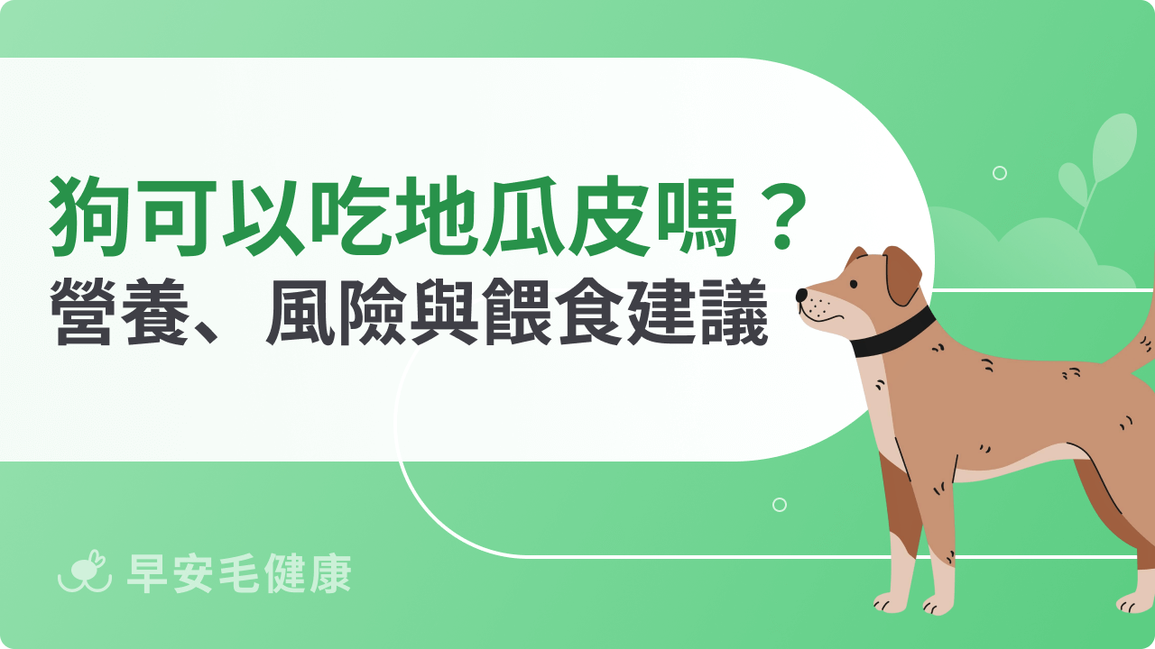狗狗可以吃地瓜皮嗎?營養價值、風險與正確餵食建議