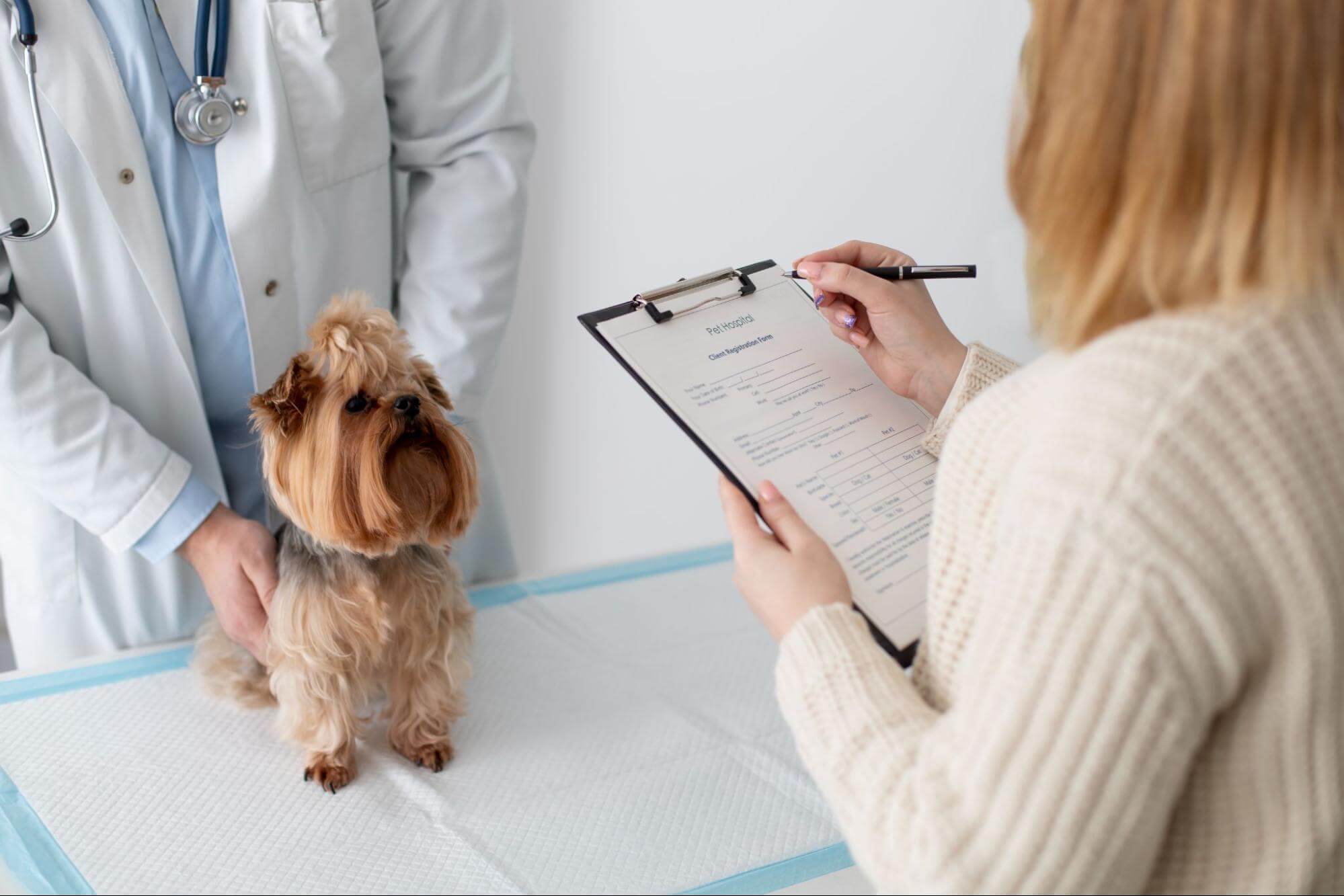 97. AI - dog-health-checkup-guide-1