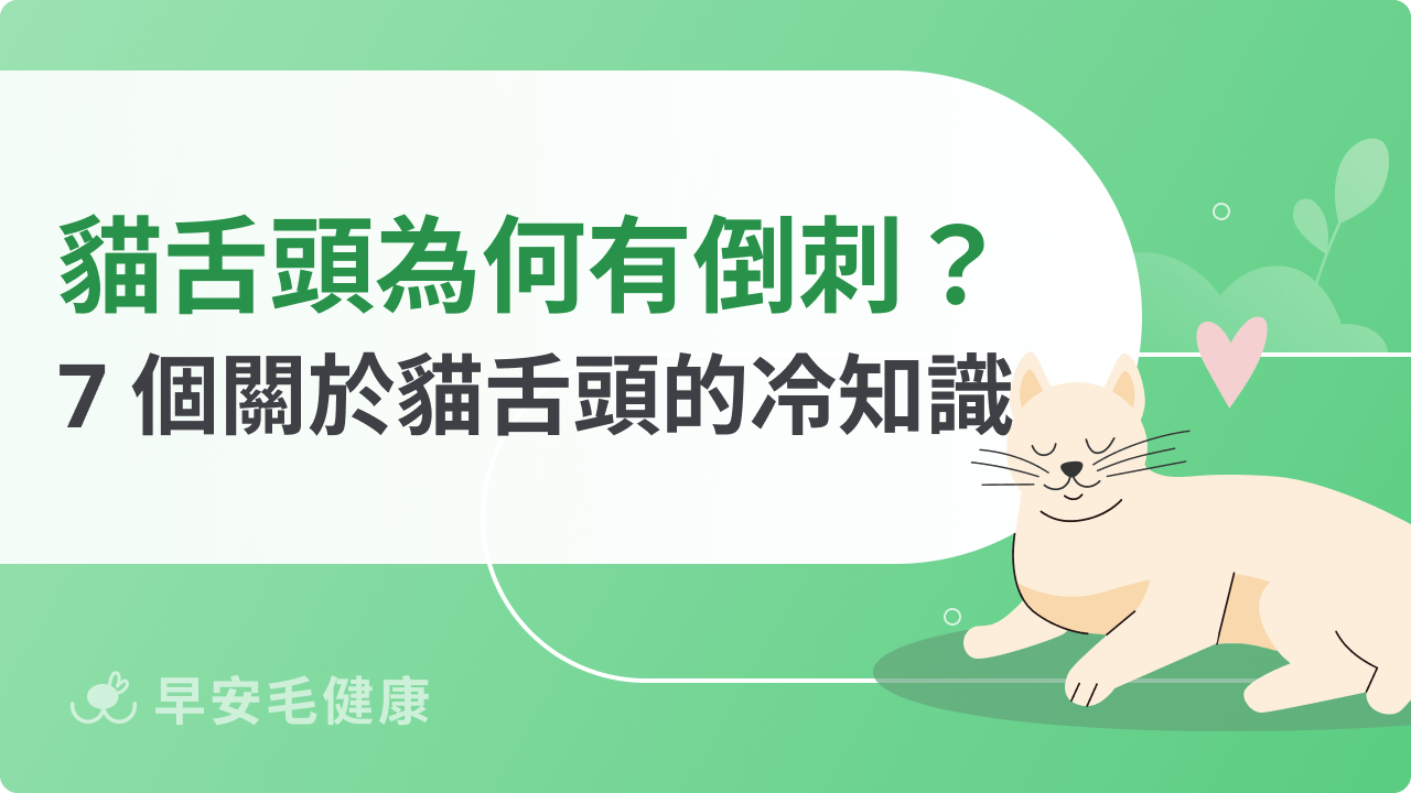 貓舌頭怕燙真的嗎?貓舌頭意思、7 功能一次看!