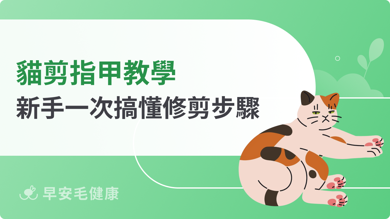 貓剪指甲教學指南看這篇!一次搞懂修剪步驟,新手也能輕鬆上手!