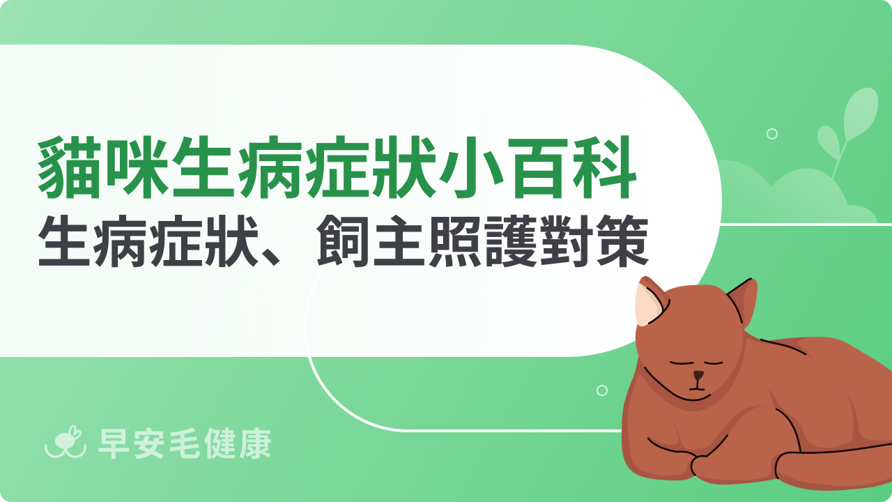 貓咪生病症狀小百科:常見生病症狀、飼主照護對策一次看懂