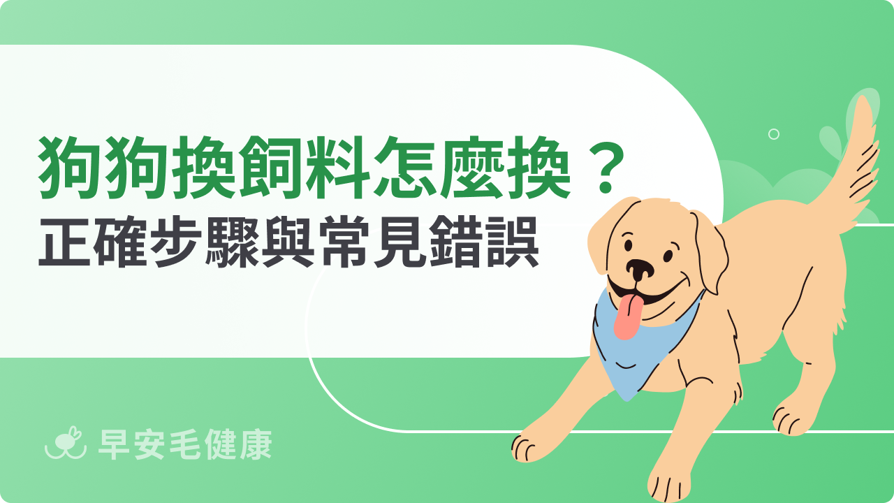 狗狗換飼料怎麼換?正確步驟與常見錯誤一次看懂