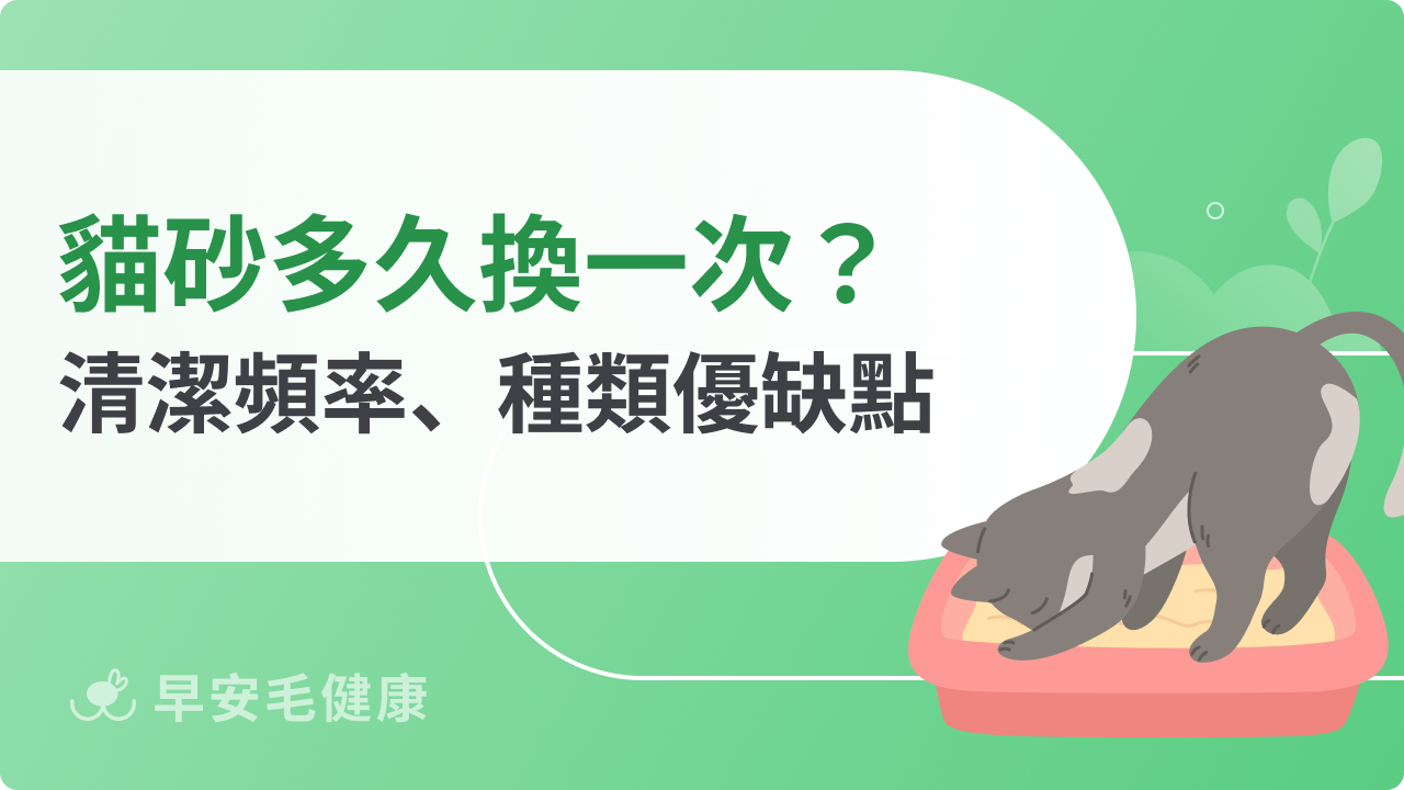 貓砂多久換一次?清潔頻率、種類優缺點一次搞懂!
