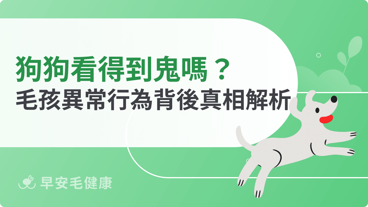 狗狗看得到鬼嗎?毛孩異常行為背後真相解析