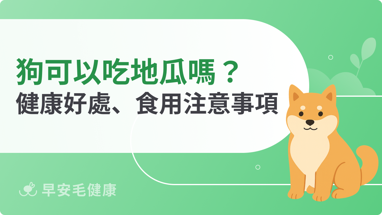 狗可以吃地瓜嗎?地瓜皮可以一起吃嗎?正確餵食方法說明