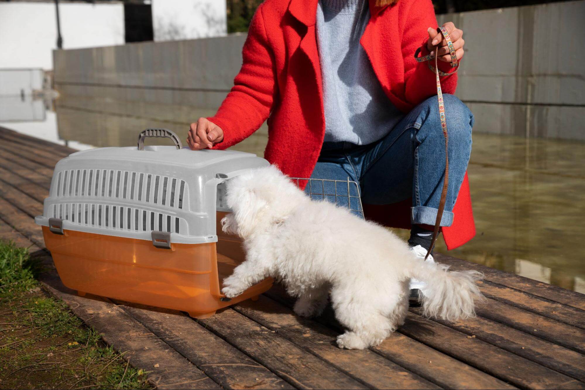 89. AI - crate-training-for-dog-1