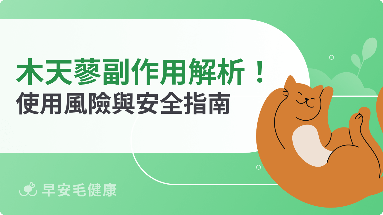 木天蓼貓副作用解析!木天蓼使用風險與安全指南