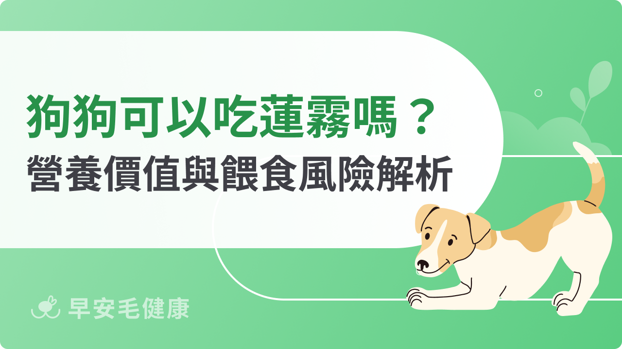 狗狗可以吃蓮霧嗎?營養價值與餵食風險解析