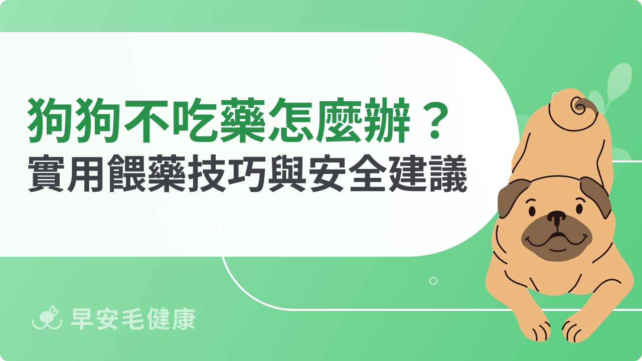 狗狗不吃藥怎麼辦?實用餵藥技巧與安全建議