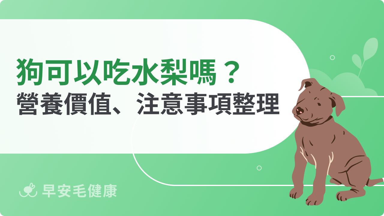狗可以吃水梨嗎?營養價值+注意事項一次看