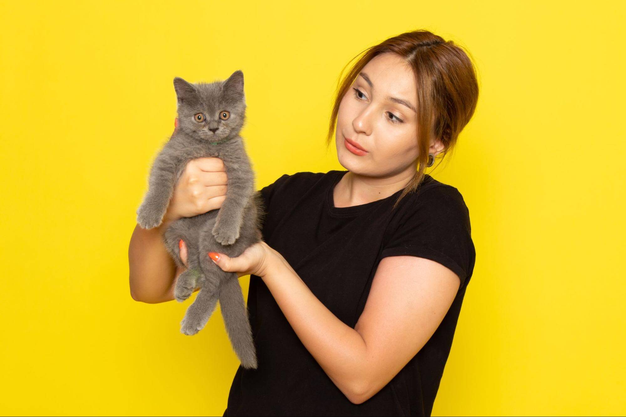 266. AI - why-you-should-not-scruff-your-cat-1