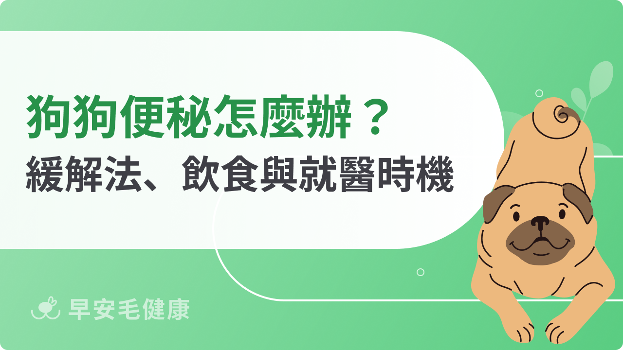 狗狗便秘怎麼辦?緩解方法、飲食調整與就醫時機全解析