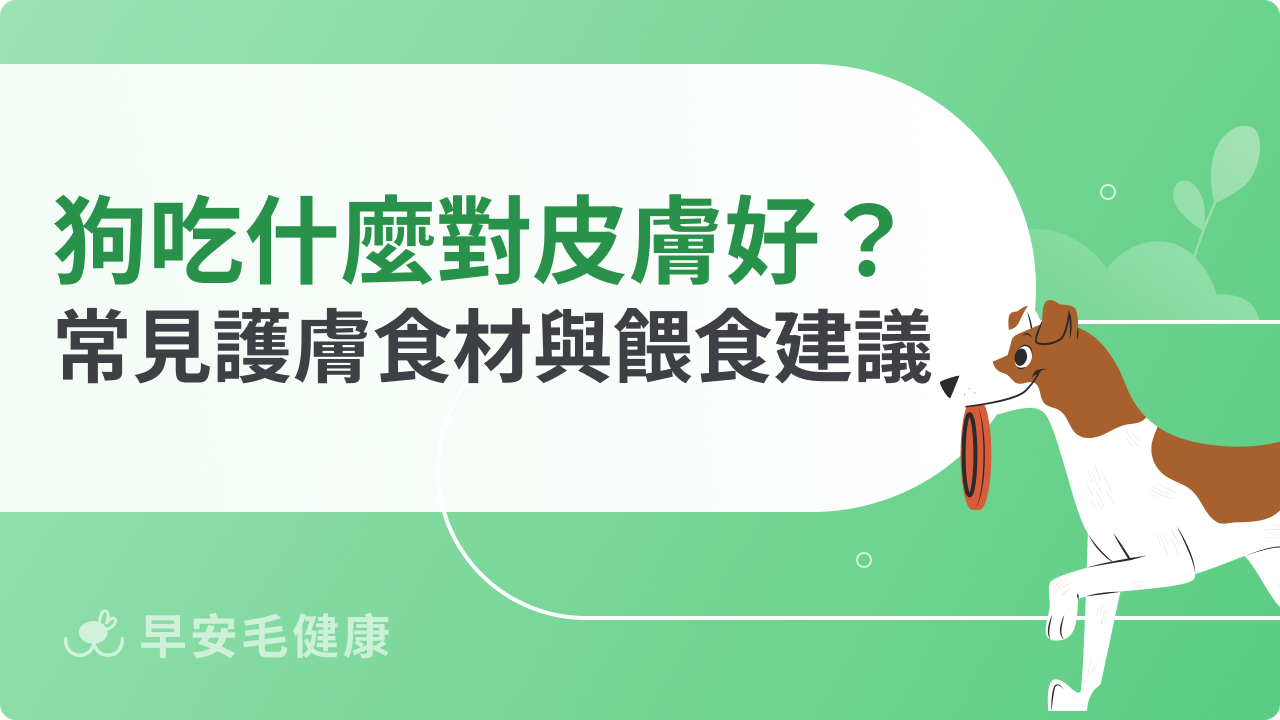 狗狗吃什麼對皮膚好?常見護膚食材與餵食建議