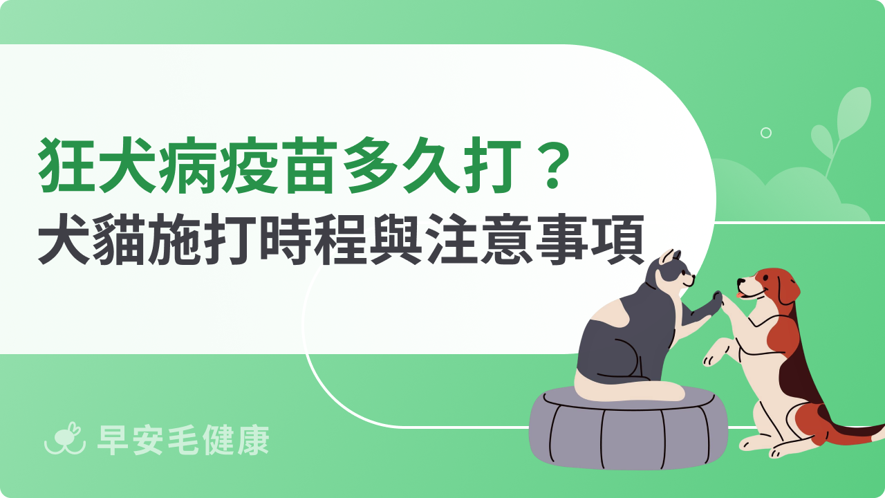 狂犬病疫苗多久打一次?犬貓施打時程與注意事項總整理