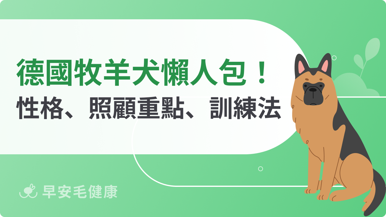 德國牧羊犬飼養大補帖！性格特徵、照顧重點、訓練方法總整理