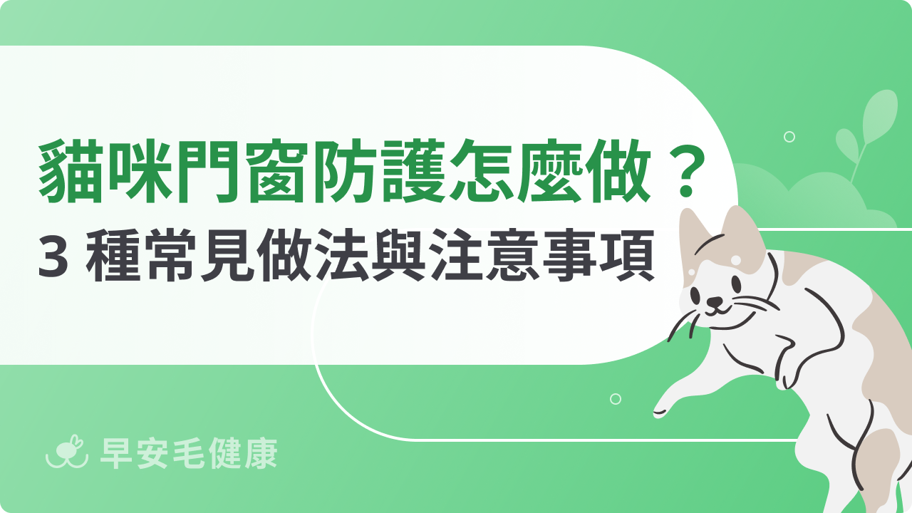 貓咪門窗防護怎麼做?3 種常見做法與注意事項整理