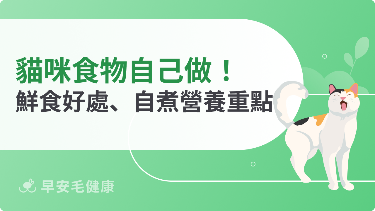 貓咪食物自己做!解析貓吃鮮食好處、自煮重點與營養補充關鍵