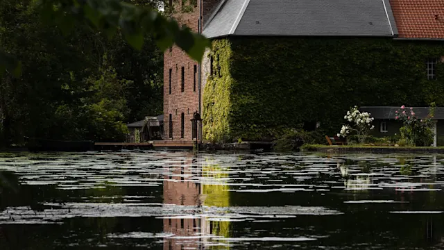 MoulinMoulin_main_images_.jpg