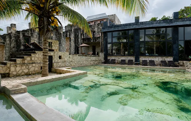 CoquiCoquiCobaPapolchac Pool 2