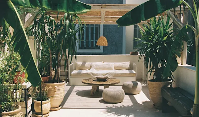Shila_Roof_Garden_1.JPG