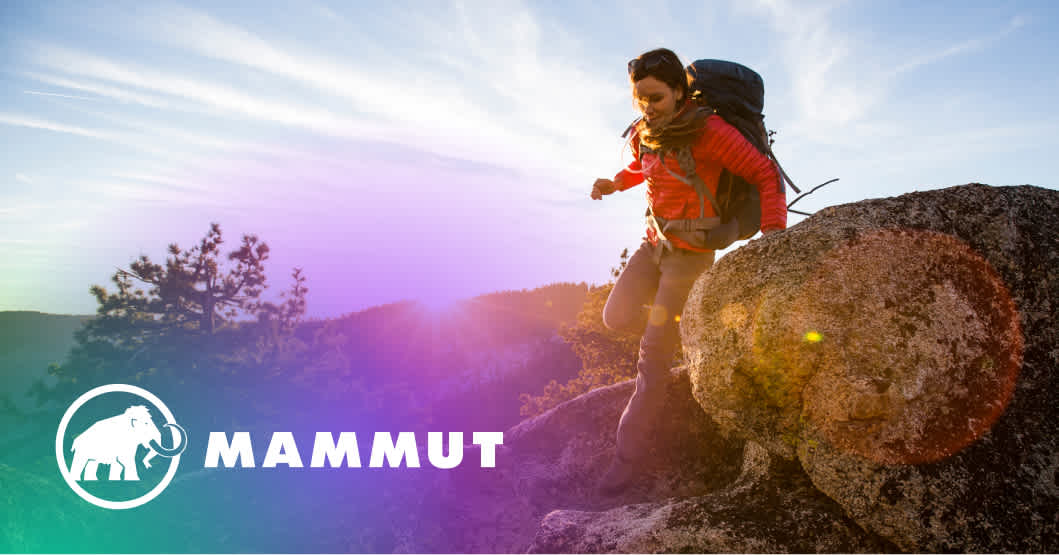 fs-Mammut-resources