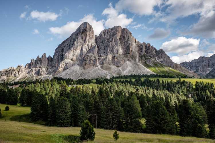 Pine trees in front of a rugged mountain