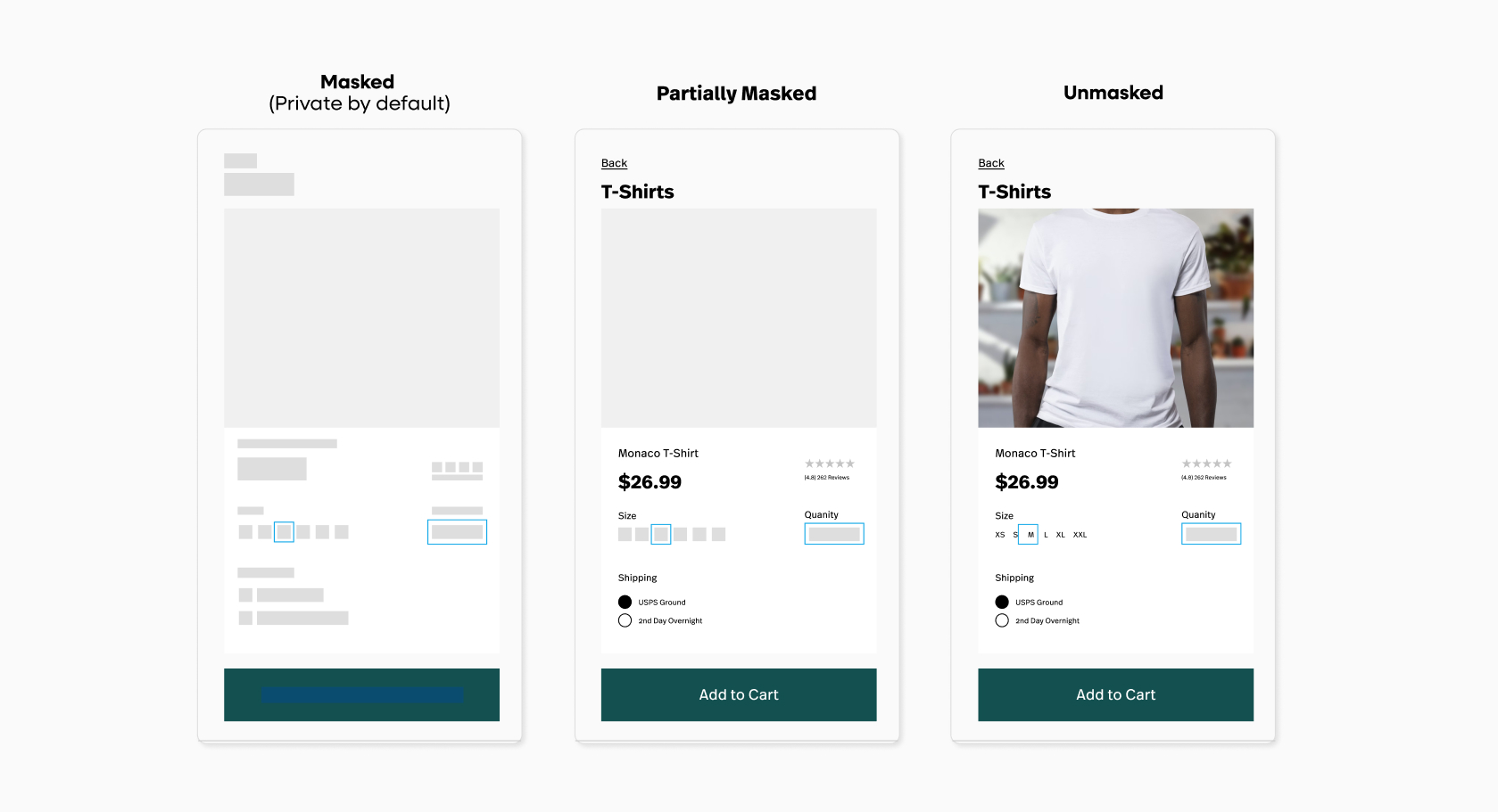 Privacy Masking Visual