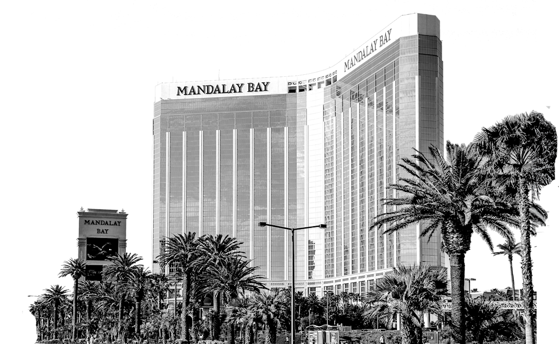 shutterstock 2439891215