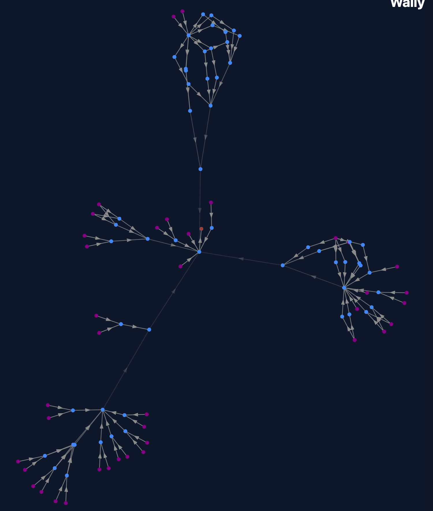 Wally graph output (with function names removed) showing call paths to functions calling Gemini