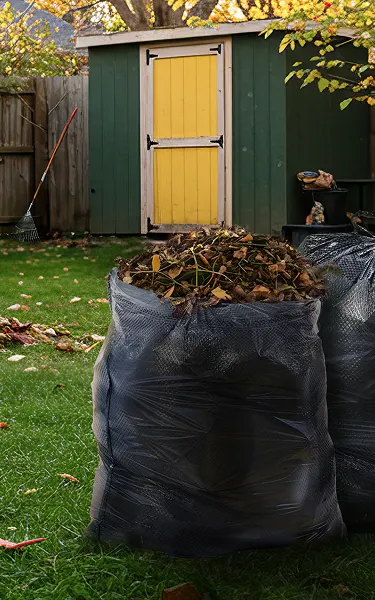 Two black trash bags filled with leaves on the grass in a backyard where someone is raking up leaves.