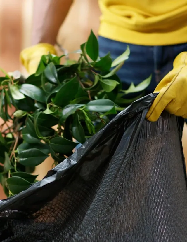Close-up of a person in a yellow shirt, jeans and yellow gloves putting branches in a black trash bag.