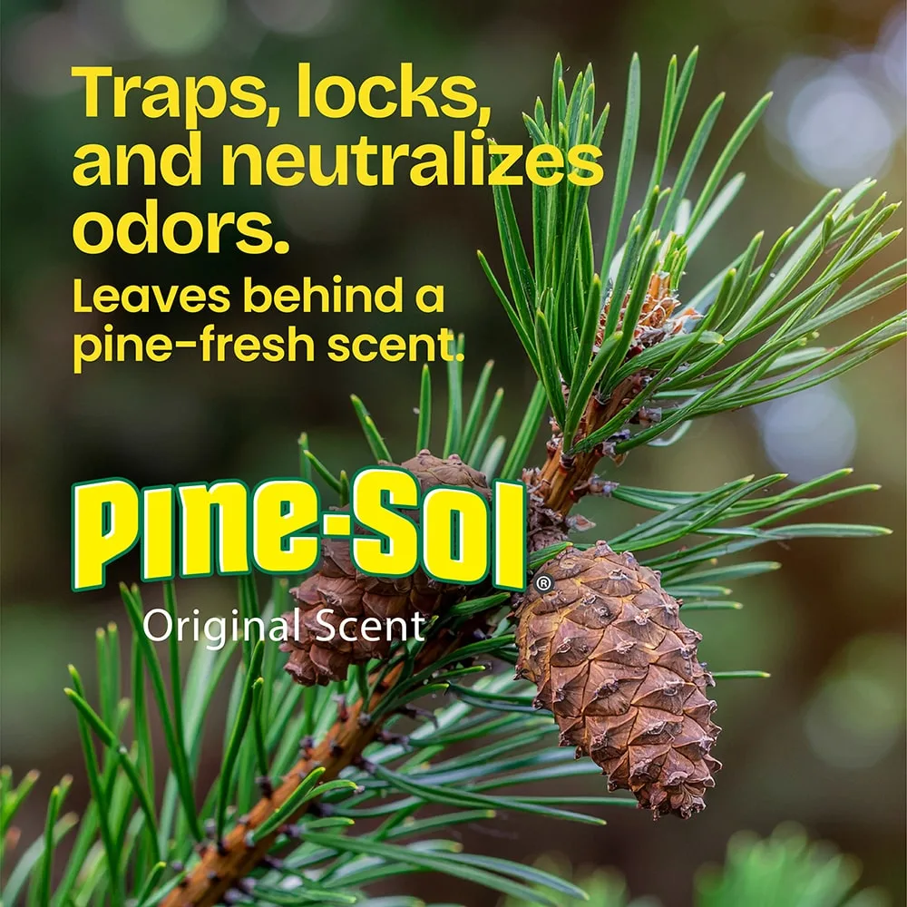The words "Traps, locks and neutralizes odors. Leaves behind a pine-fresh scent. Pine-Sol original scent" over a pine tree background