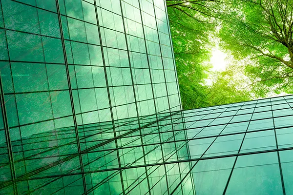 Green Trees and Office Window THUMBNAIL