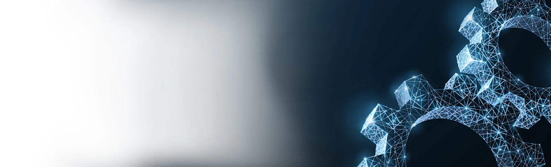 Why a Quick Software Transition is NOT the Answer