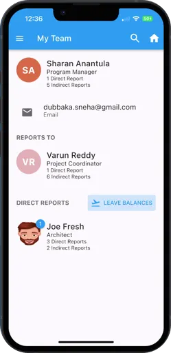 iPhone with product image