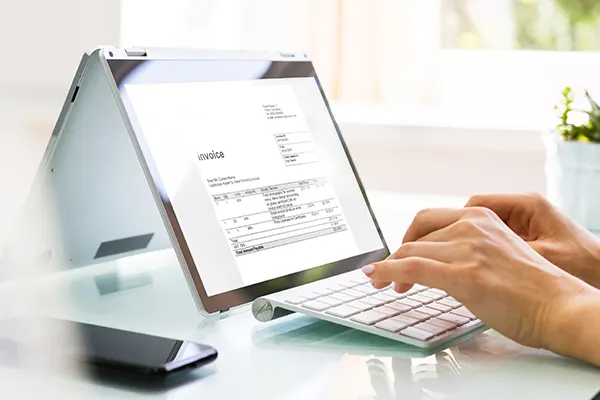 Online-Digital-Statements-Software THUMBImage