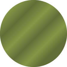 Olive Green Swatch